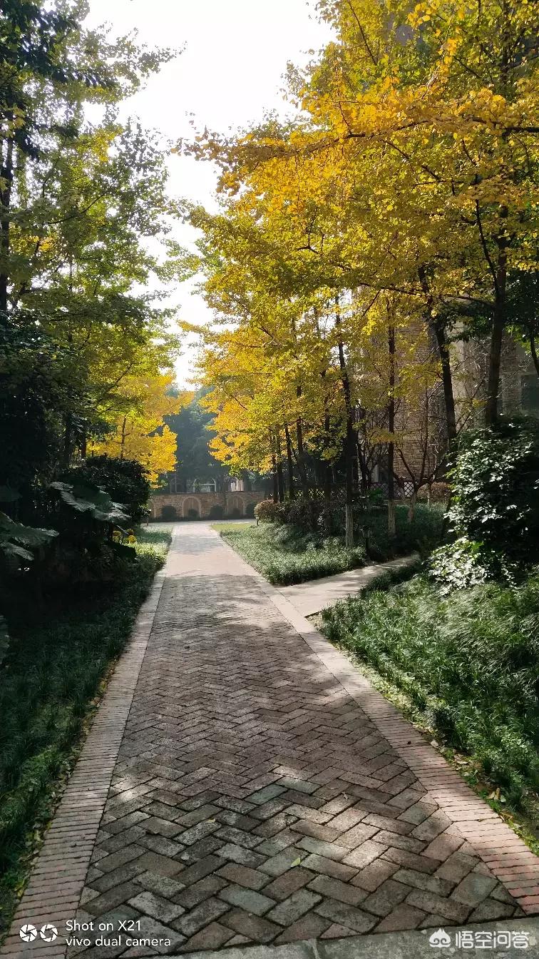 老郭的海外生活小说下载，老郭的海外生活小说下载百度云