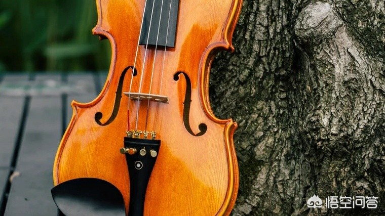 [红棉小提琴]铃木小提琴好些还是红棉？
