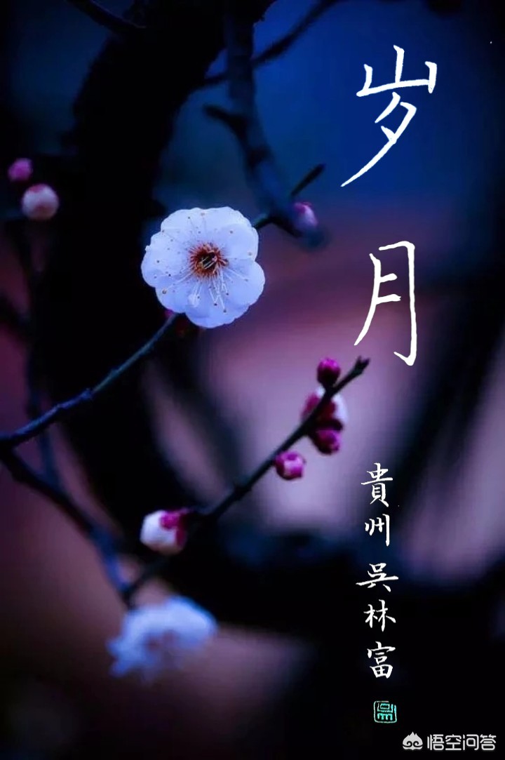 楷书硬笔什么字体好写