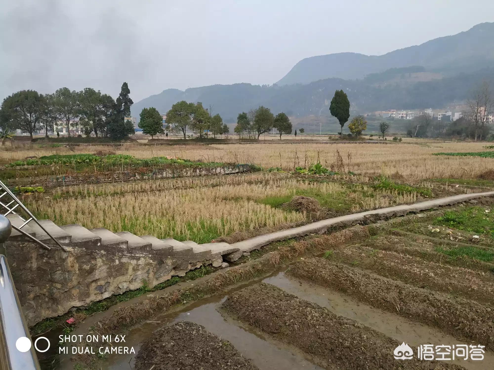 快过年了（为什么快过年了？）