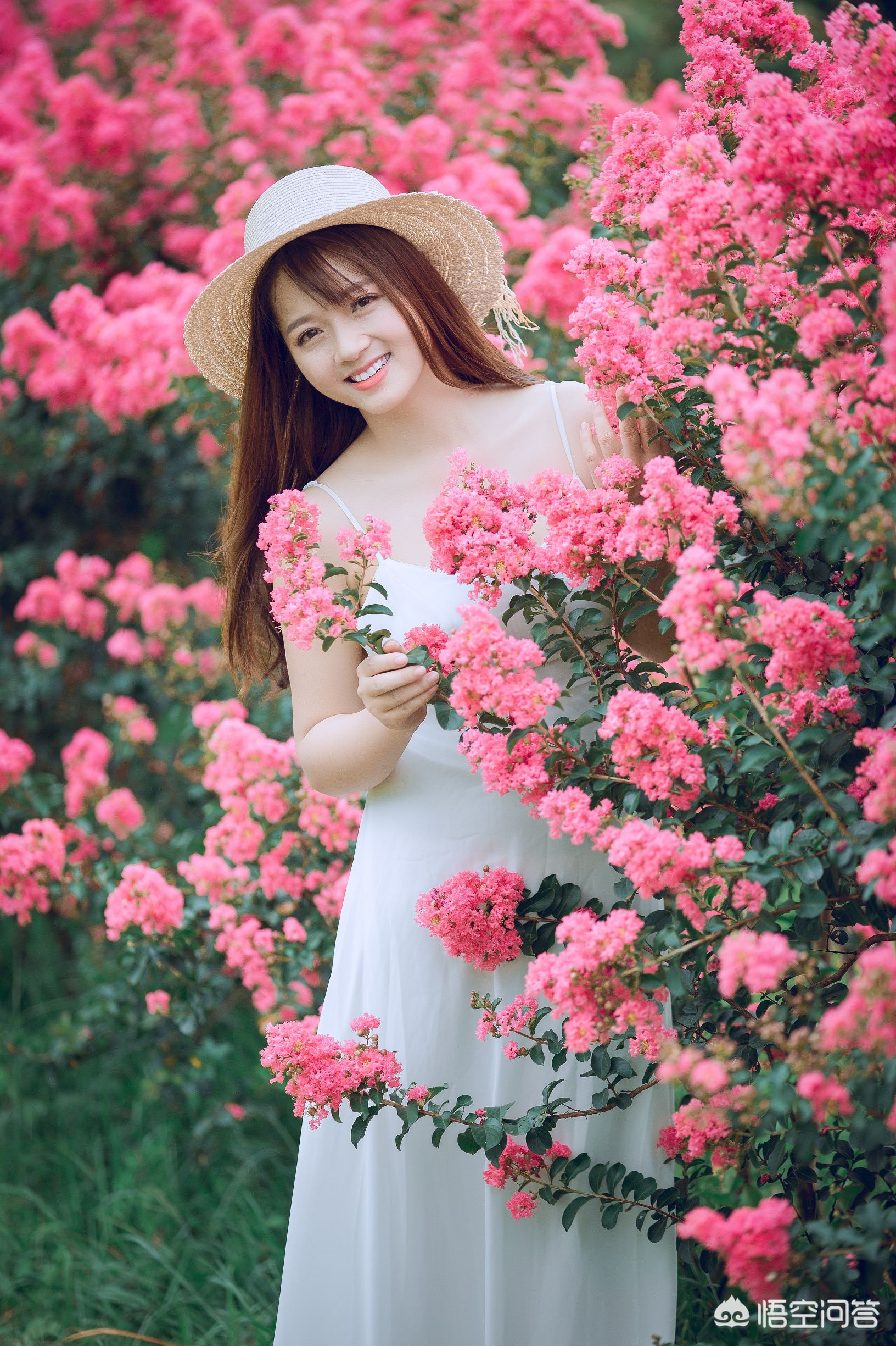 相机af（相机中的AF是什么意思？）