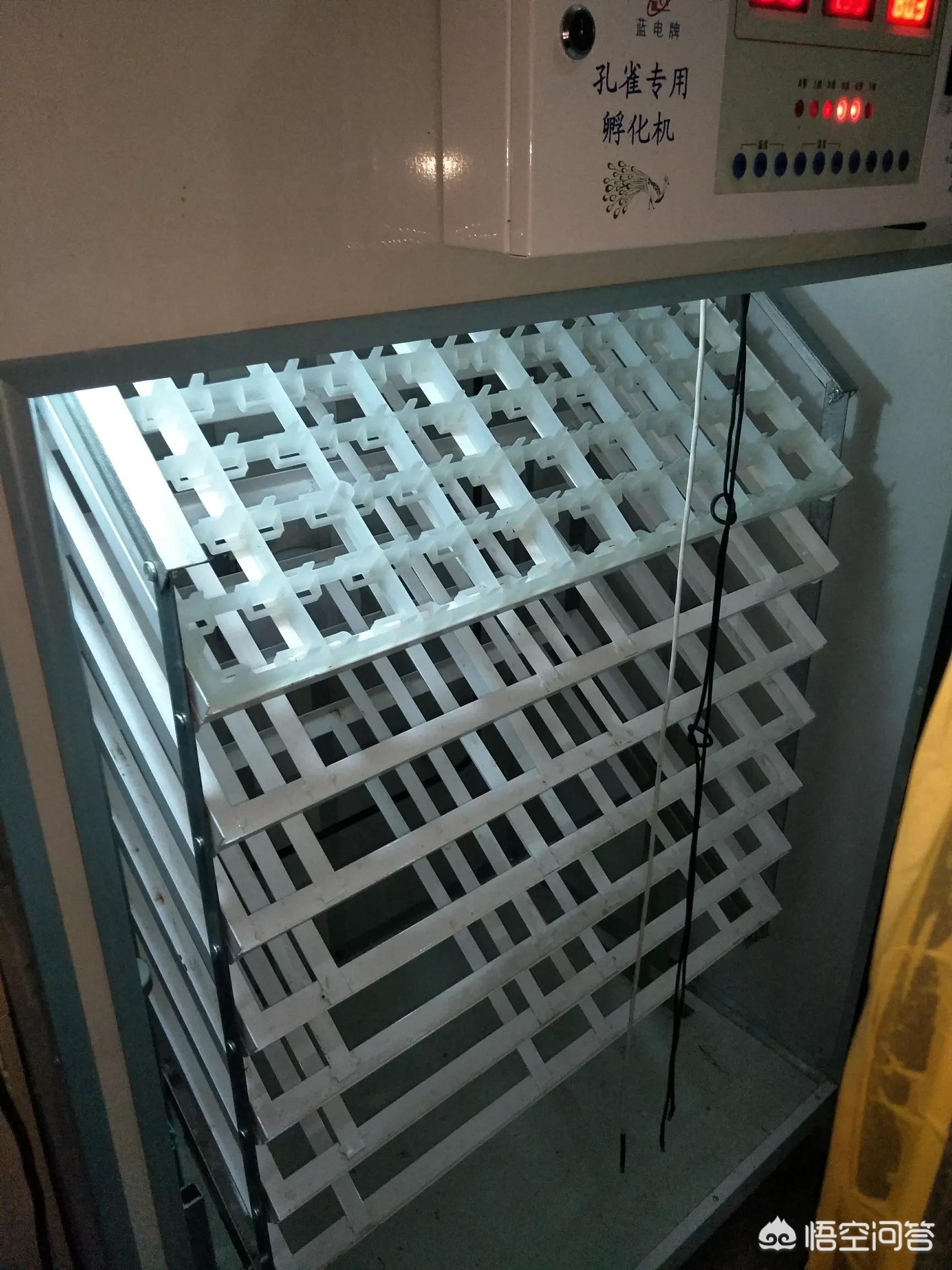 蓝电汽车品牌介绍大全集,蓝电汽车品牌介绍大全集图片