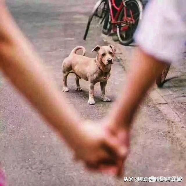 最感人的情话最感人的情话让人流泪