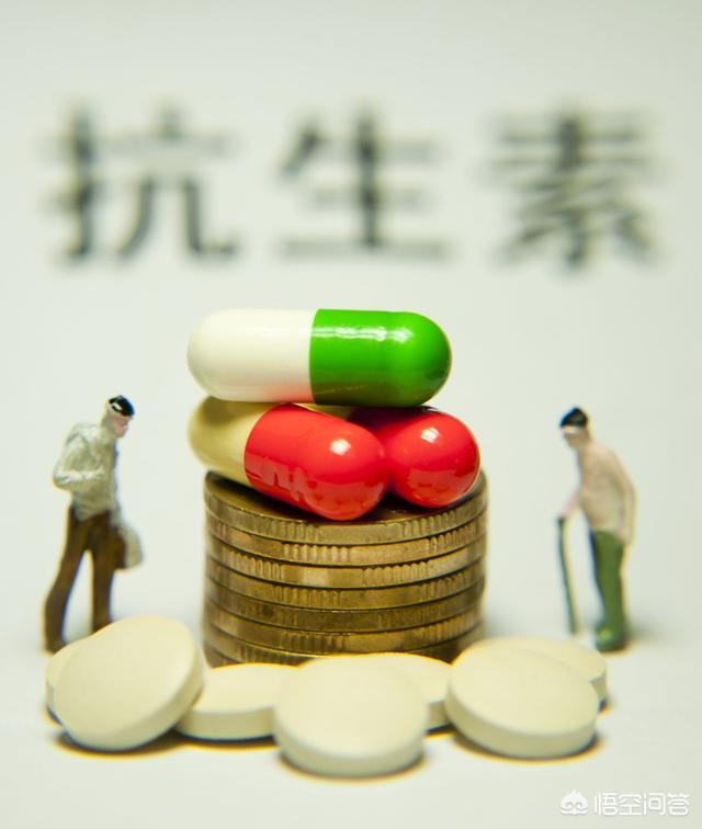 家里有（家里有蜂蜜是什么意思？）