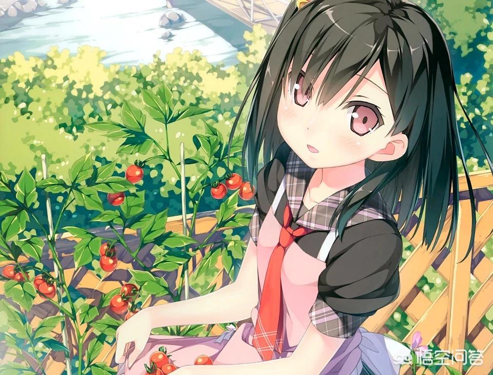 秘密教学漫画免费阅读全文，秘密教学漫画免费阅读全文无弹窗