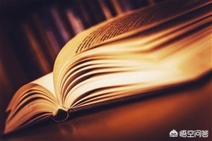 文学融入海外生活，文学融入海外生活的例子