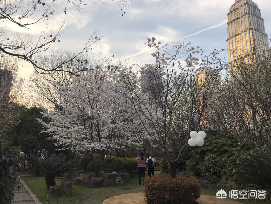 杭州市的文化底蕴怎么样