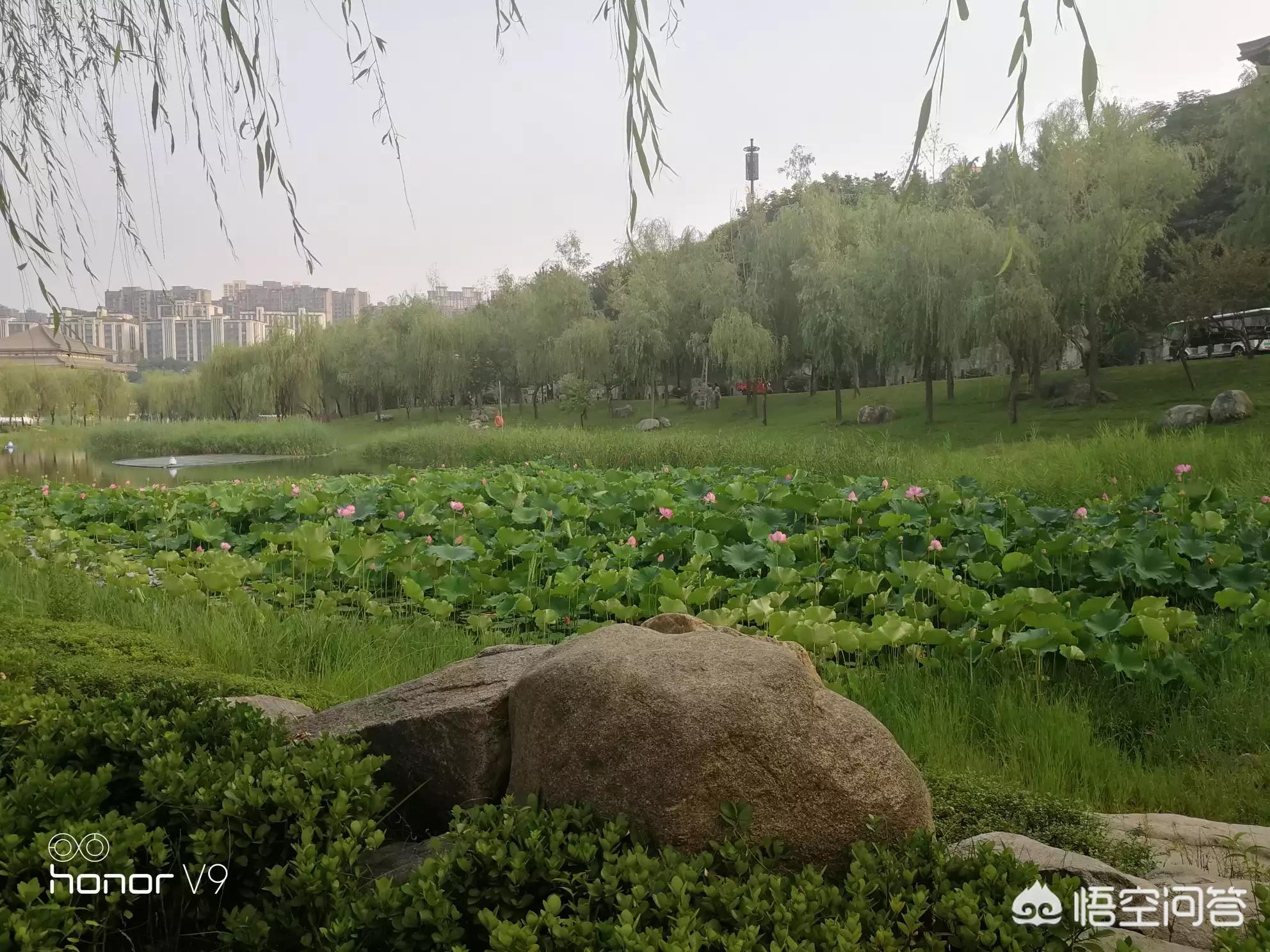 西安市什么街美食沈阳