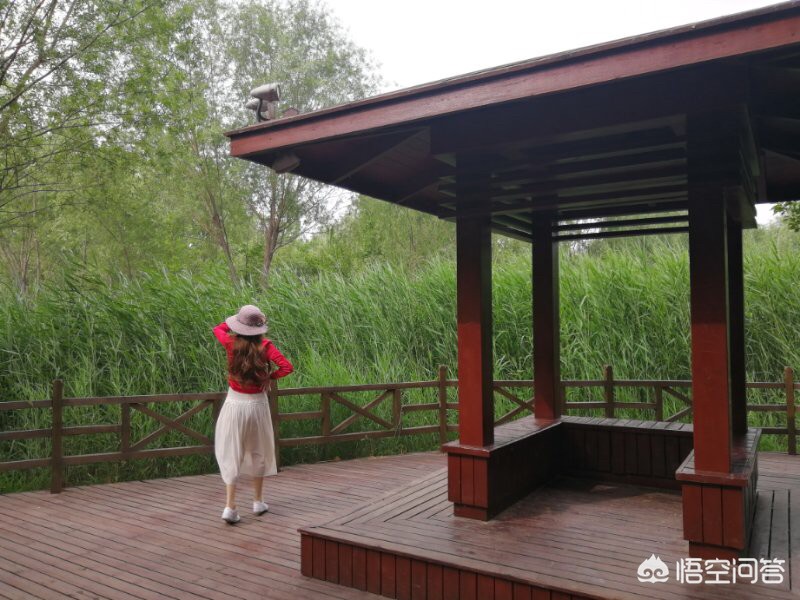 大妈的海外生活视频，大妈的海外生活视频在线观看