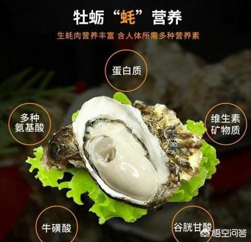 活生蚝在夏天的夜晚应如何保存？