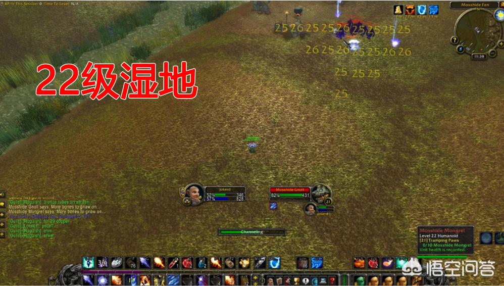 9.1魔兽世界法师种族选择？