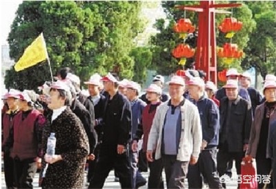 50多岁老人被车撞赔偿多少？：带46名老人去旅游 