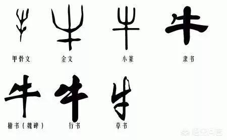 草书字体手写笔记软件