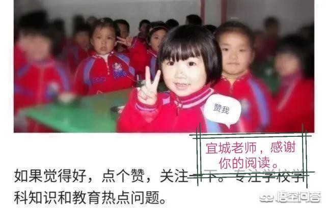 导师应该怎样选好学科知识，导师应该怎样选好学科知识呢