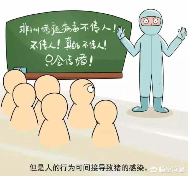 非洲小胖的海外生活，非洲小胖的海外生活视频