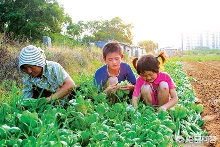 兰州周边哪里比较适合带孩子出去玩？