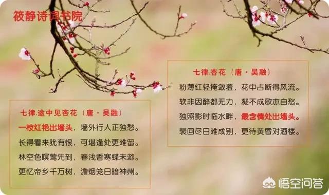 关不住(关不住的意思?) 关不住(关不住的意思?)