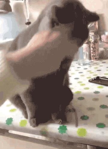 头片(图片的格式有哪几种呀?) 头片(图片的格式有哪几种呀?)