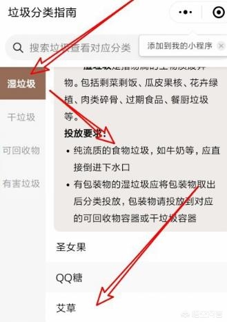 app 网站开发公司