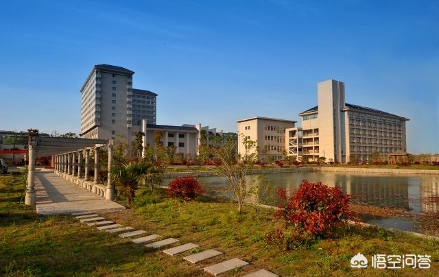 合肥市哪个区经济学院多
