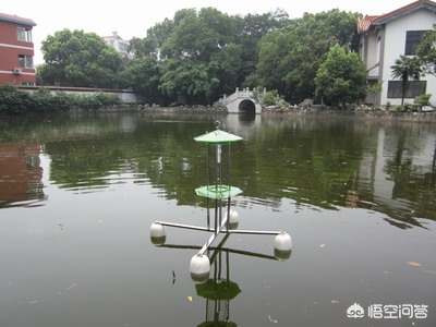 [投放5200尾灭蚊鱼]给鱼塘挂什么灯有利于鱼吃蚊虫？