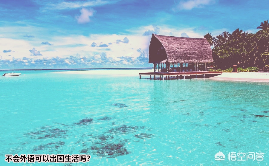 海外生活英文视频翻译，海外生活英文视频翻译怎么写