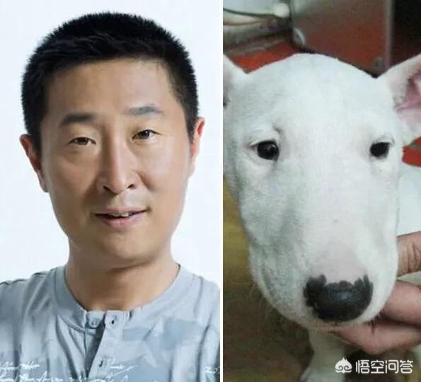 路人脸化妆技巧
