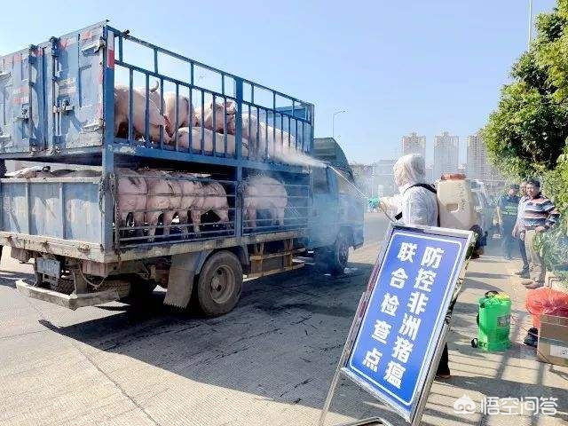 养殖什么不愁销路