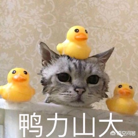 怎么买二手车
