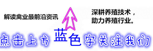 智能化养鸡省时高效益吗。生态养鸡的趋势怎么样？：手机智能化高端化