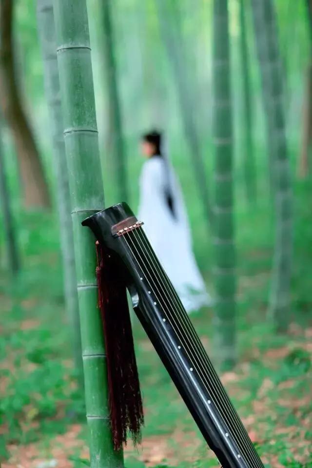 摄影美妆好物结合的博主
