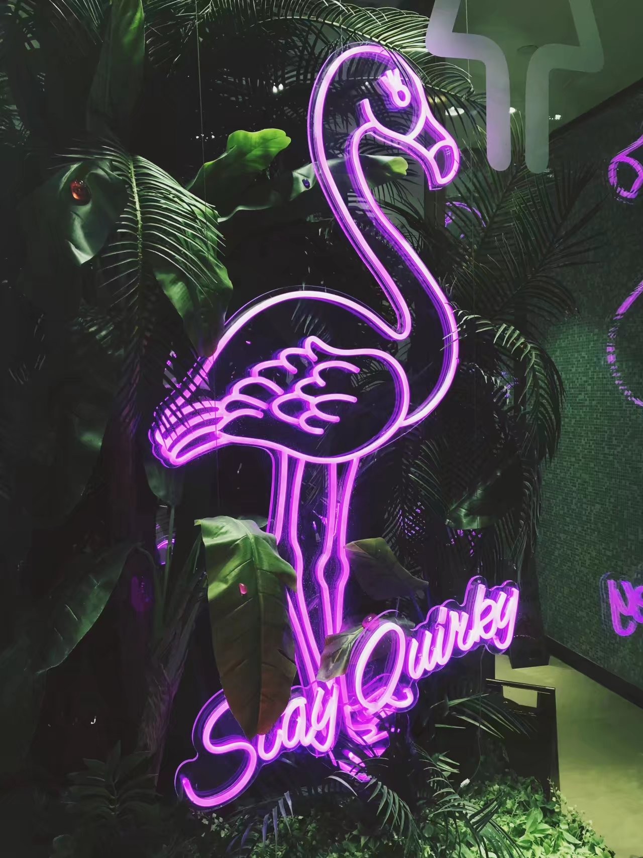 k11(K11是什么?) k11(K11是什么?)