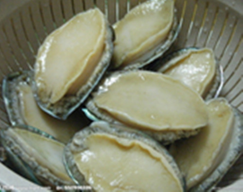 大连市鲍鱼片是什么