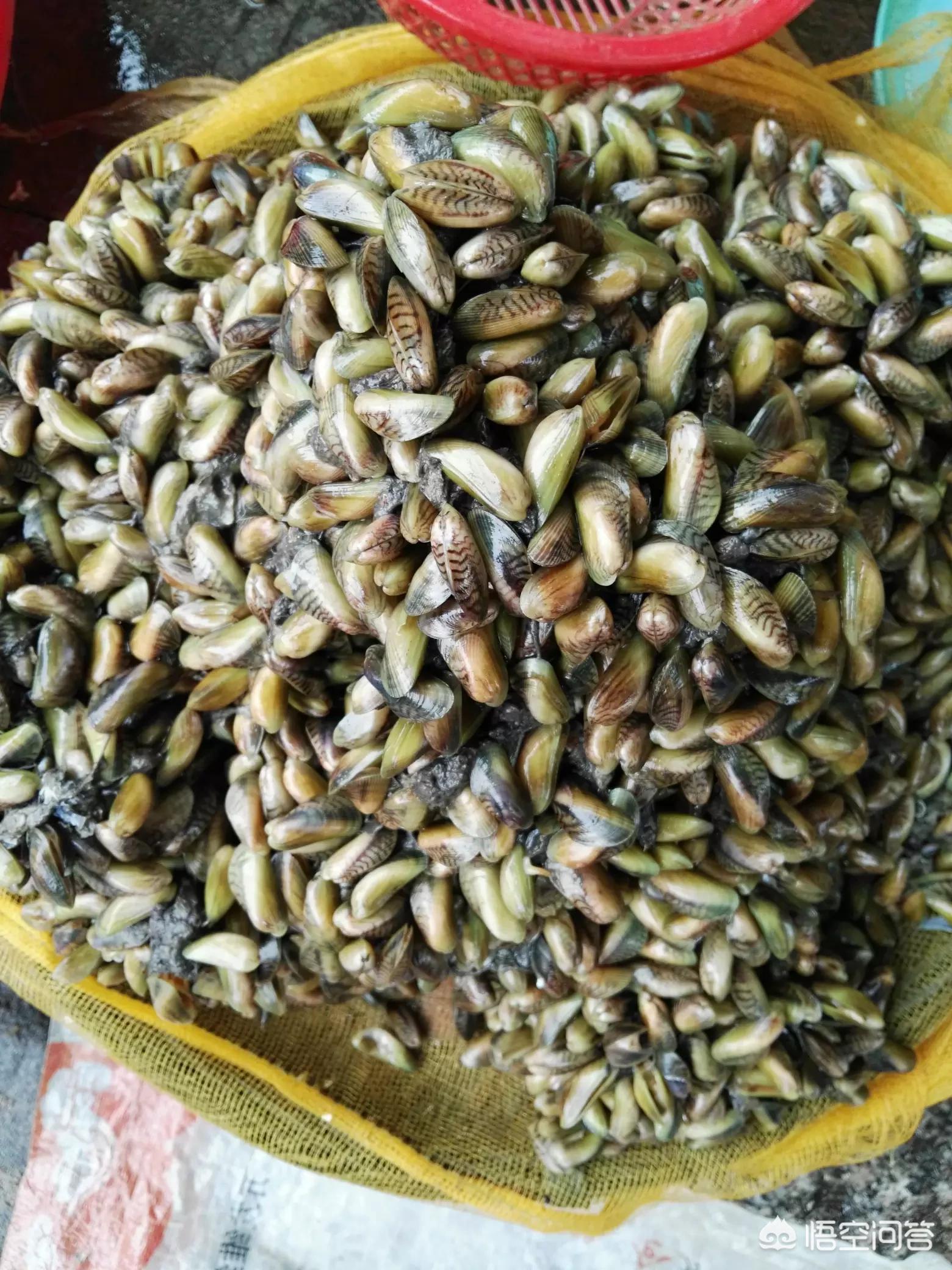 广州市有什么特色食品
