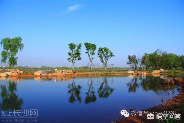 长沙市有什么免费的景区吗