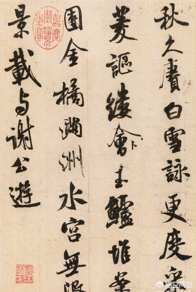 新草书字体教程字帖下载