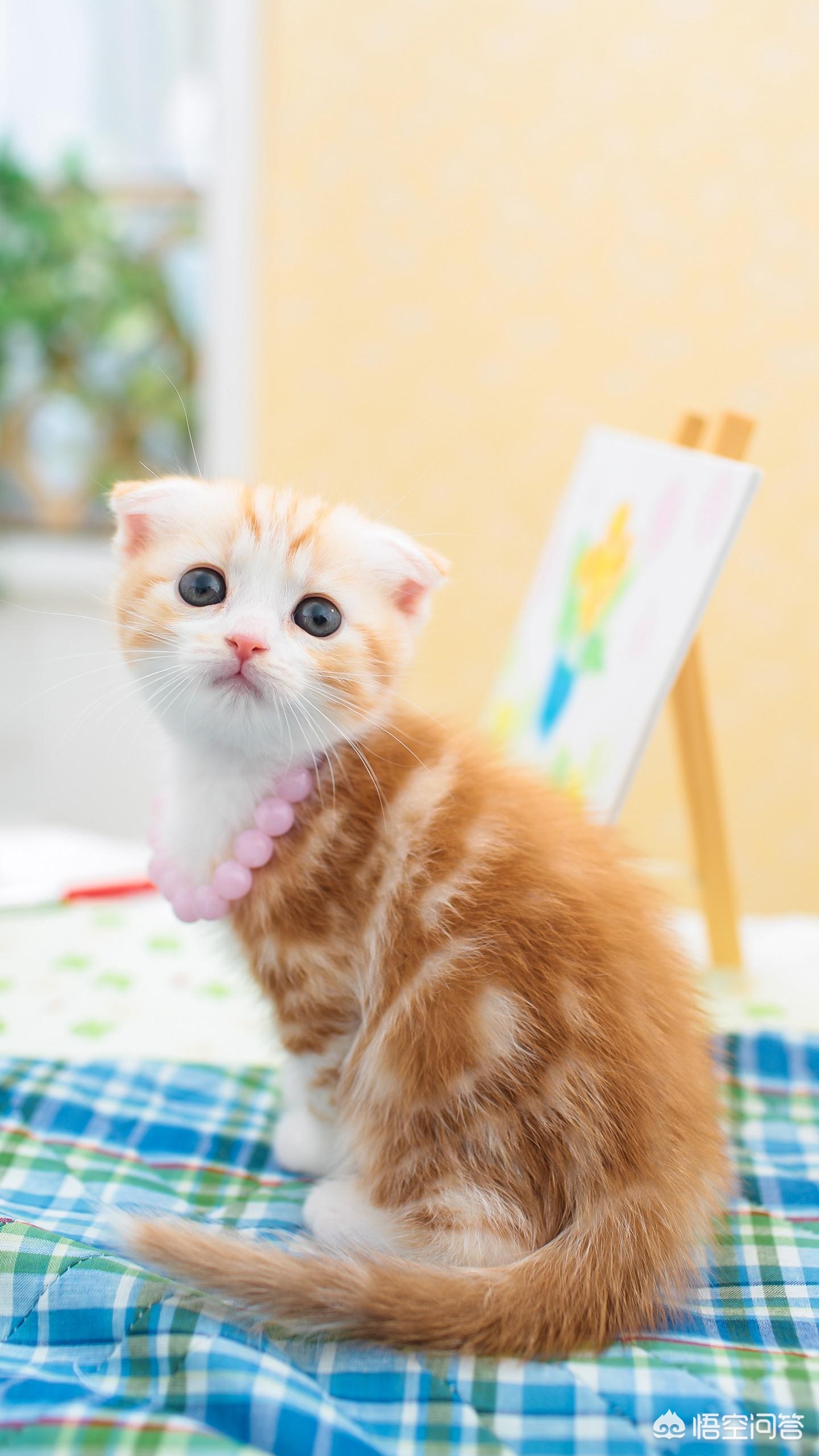 为什么现在手机质量越来越差?:现在手机 为什么现在手机质量越来越差?:现在手机