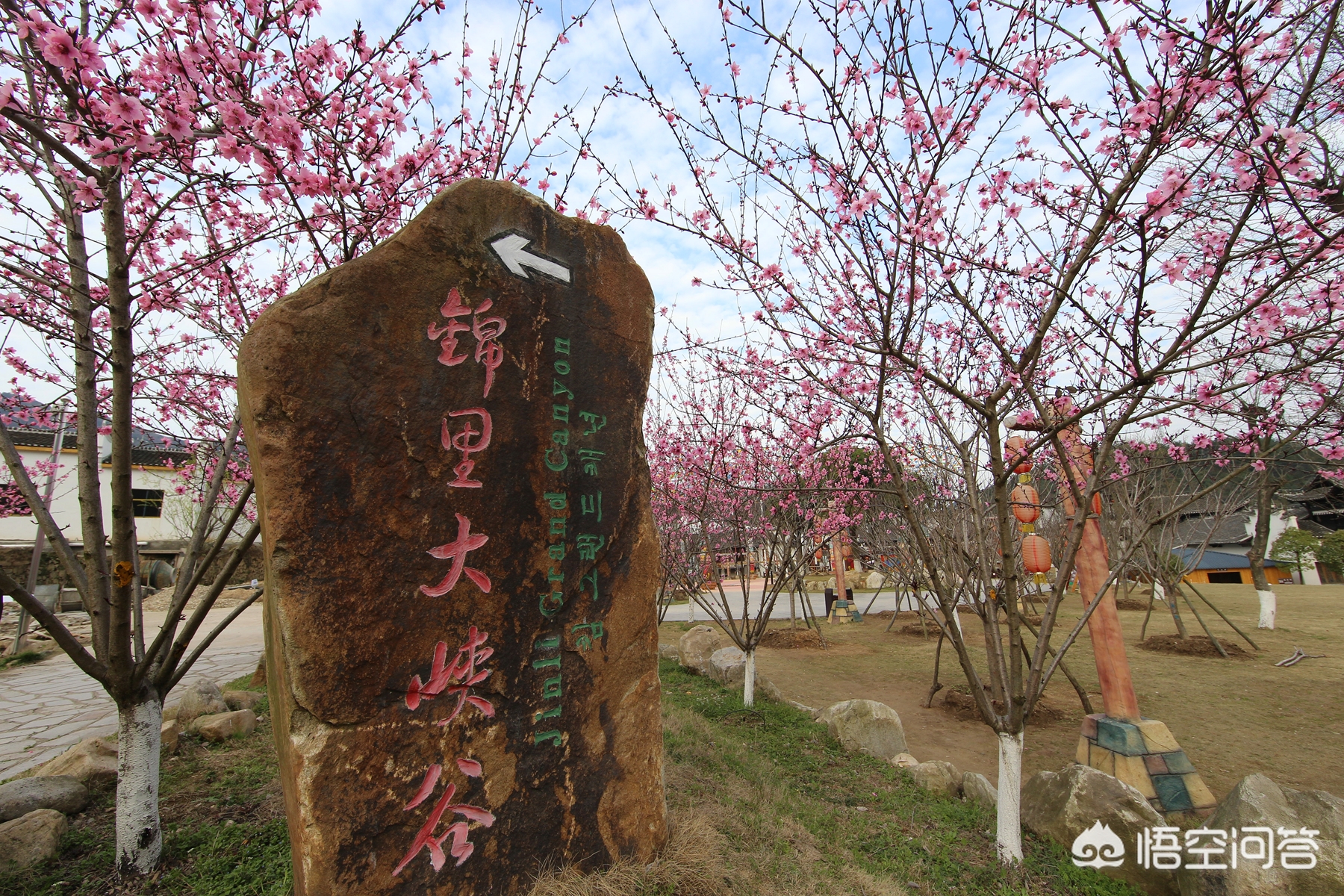 武汉市可以养什么花卉 武汉市可以养什么花卉