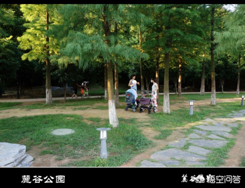 长沙高新区管委会，是什么机构？