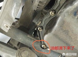 途观二手车