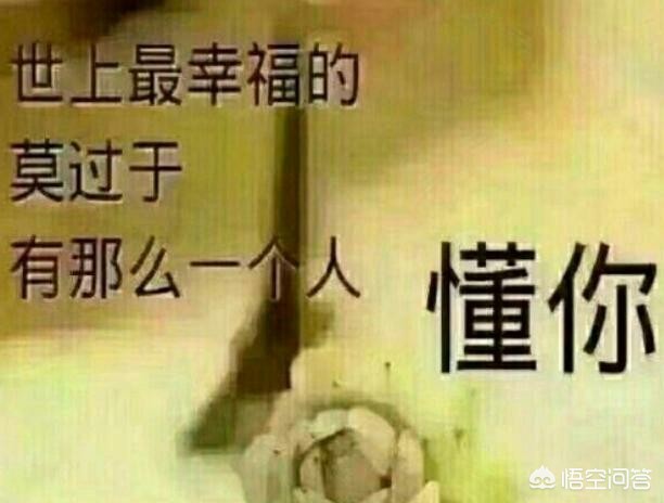 宝马面包汽车报价,宝马面包汽车报价图片