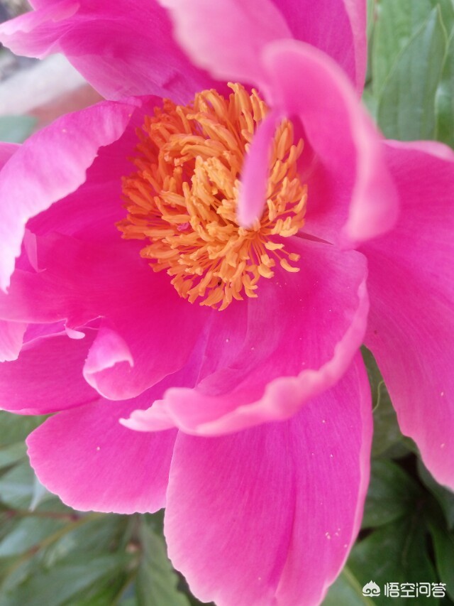 看不见的女孩看不见的女孩动漫第一季在哪可以看