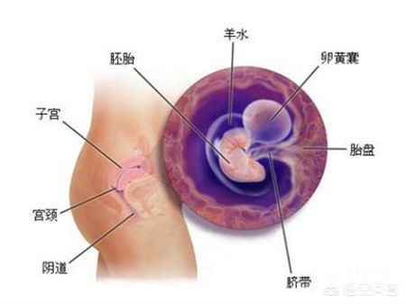 怀孕后还吃了打虫药（吃了打虫药后发现怀孕了，能要吗？）