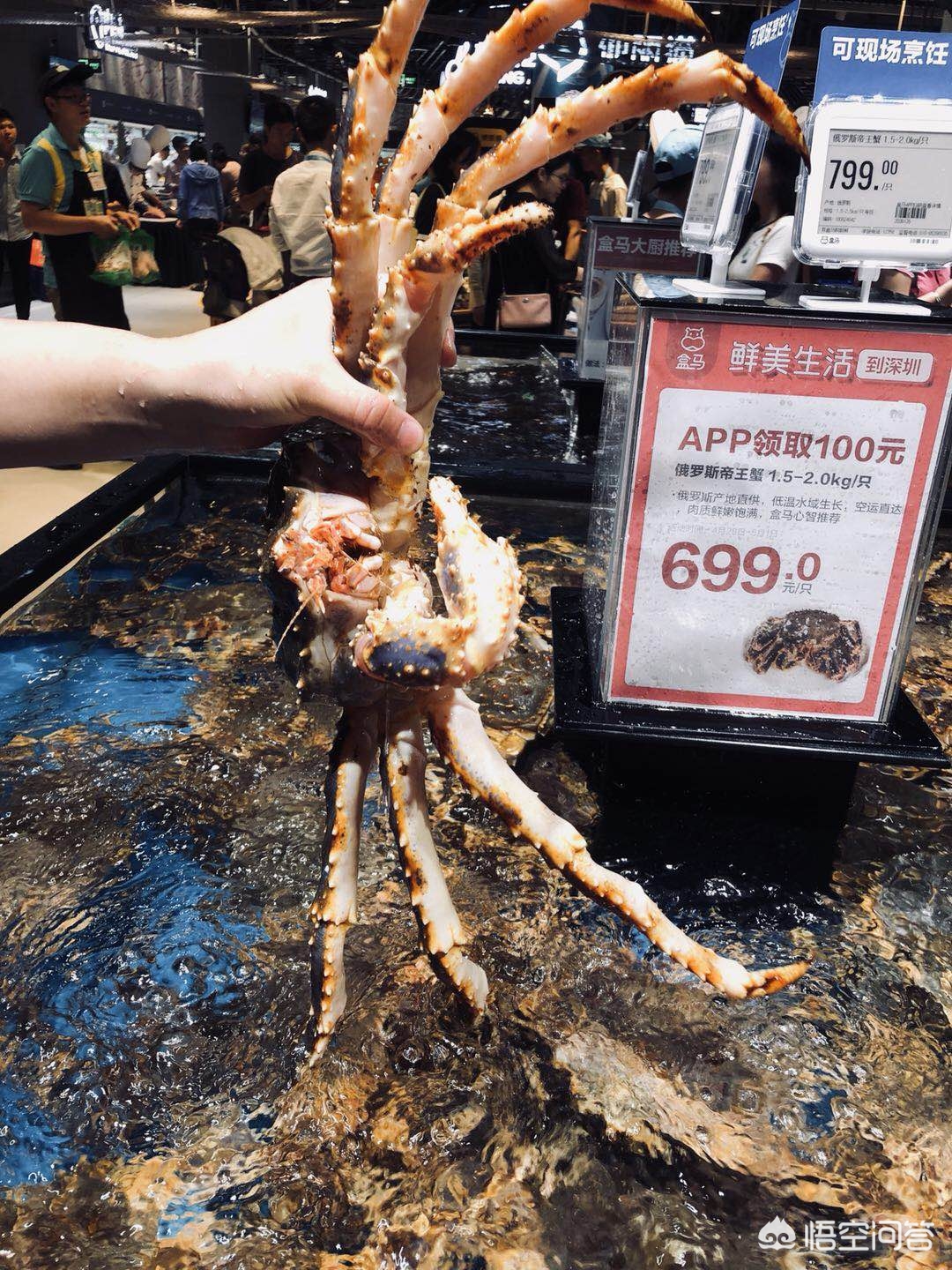 澳门研究生最新资料和盒马告别会员店与盒马告别会员店是正品吗