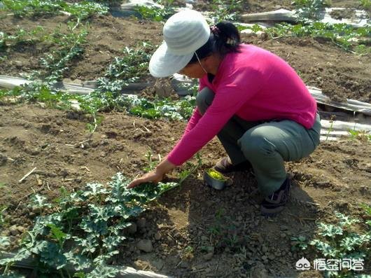 打叉打叉符号 打叉打叉符号