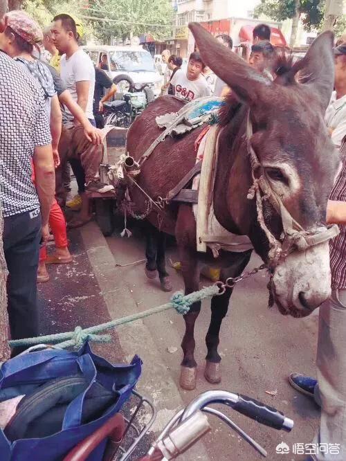 沈阳二手奥迪