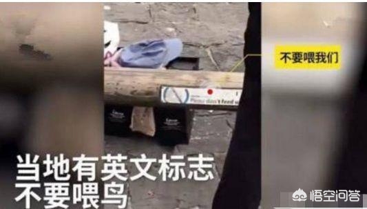 海外生活薅羊毛，国外平台薅羊毛