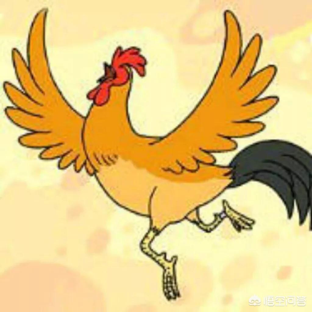 时尚美妆好物店铺推荐

