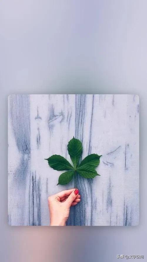 给闺蜜的美妆好物分享
