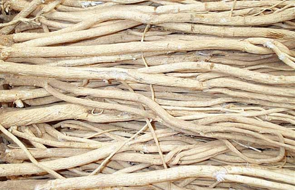 跨境电商移动营销技巧与工具
跨境电商移动营销技巧与工具